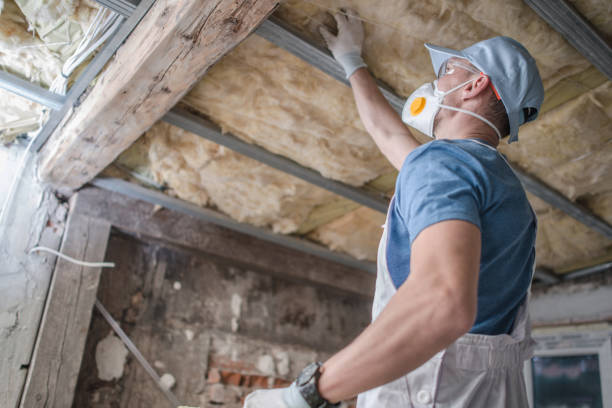 Best Insulation Maintenance and Repair in Round Lake, IL