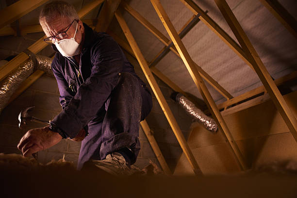 Best Residential Insulation in Round Lake, IL